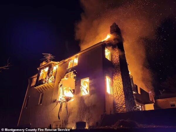 niat nak halau ular, tapi habis rumah rm7.6 juta terbakar