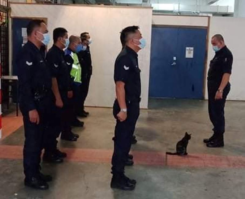 officer meow spotted reporting for duty at cheras police station!