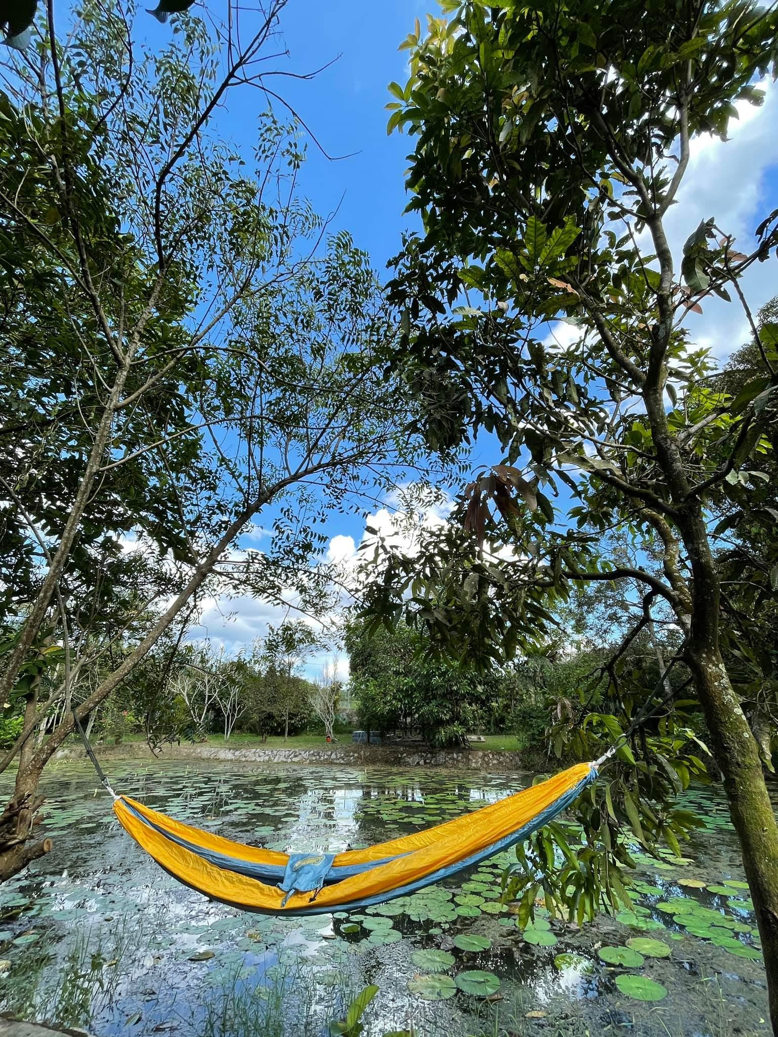 Yellow hammock hanging by the lakeside at Hammocks By The River