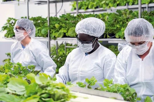 vaksin berasaskan tumbuhan terbukti berkesan lawan covid-19