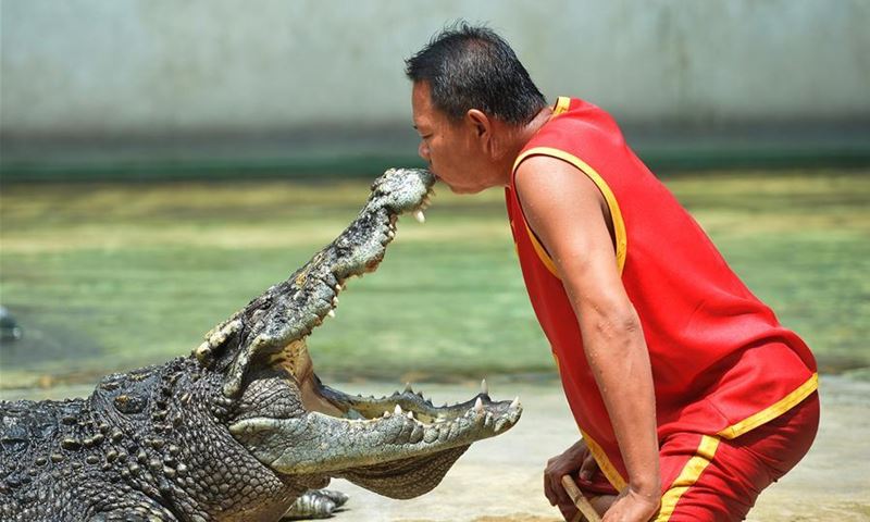 buaya terlalu malu sampai tak mahu muncul di permukaan air