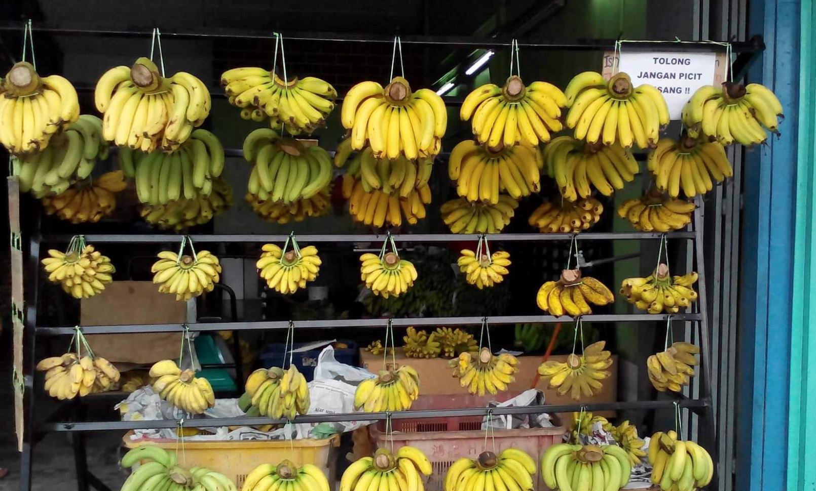 elderly man in kelantan mistakenly pays rm1,234.56 using e-wallet for bananas