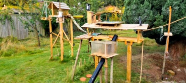 uk man creates mini village during quarantine for squirrels in his garden