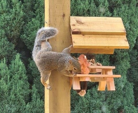 uk man creates mini village during quarantine for squirrels in his garden