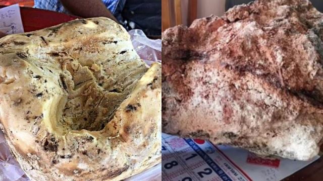 wanita terkejut jumpa muntah ikan paus, umt jalani analisis untuk pengesahan objek terbabit - “ada yang gelar emas terapung”