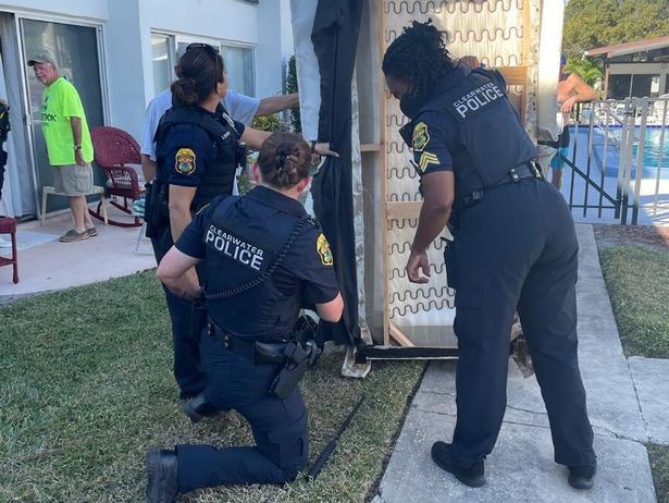 lelaki ini baru beli sofa dapat ular sawa 1.5 meter ‘percuma’