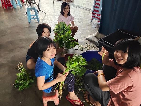 福爱之家孩子整理蔬菜