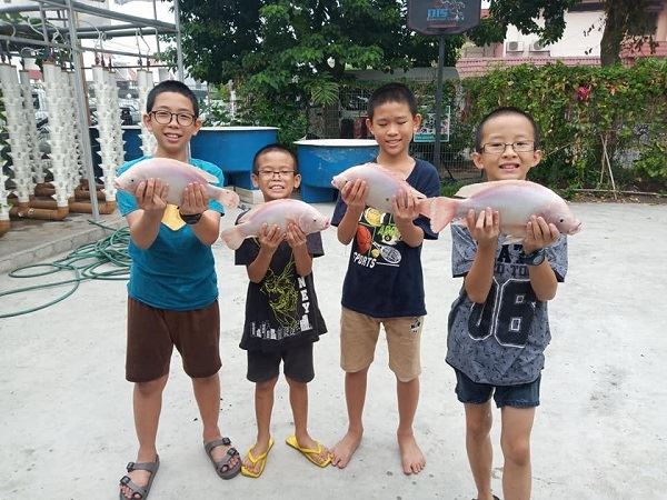 福爱之家孩子所养的鱼