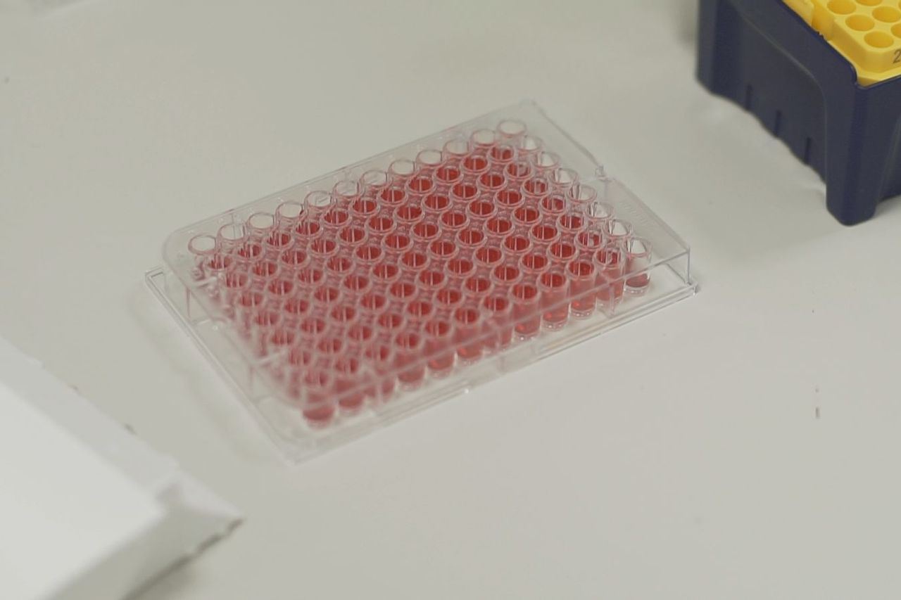 saintis hantar sel otot manusia terbang ke angkasa lepas