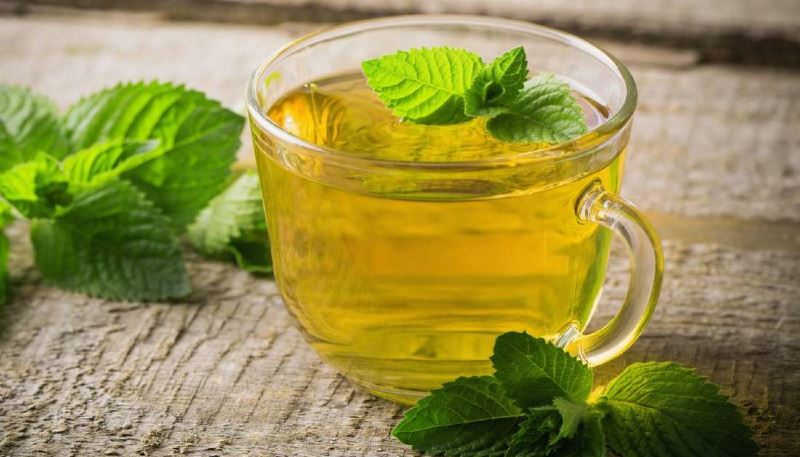 are mint leaves good for you? here are the pros and cons!