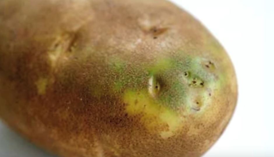 saintis dedah cara salah goreng kentang yang jadi penyebab kanser 