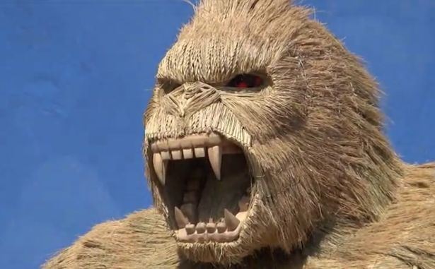 penduduk kampung bina gorila gergasi untuk halau covid-19