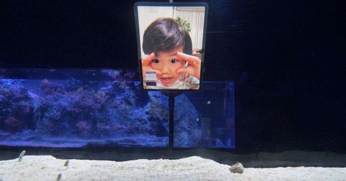 sepi tanpa pengunjung, akuarium tokyo seru orang ramai facetime dengan belut murung