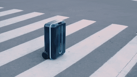 tak payah susah-susah kena pegang, beg ajaib ini akan ikut korang dari belakang masa travel