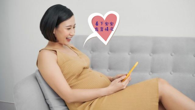 melody-640x360_meitu_17.jpg
