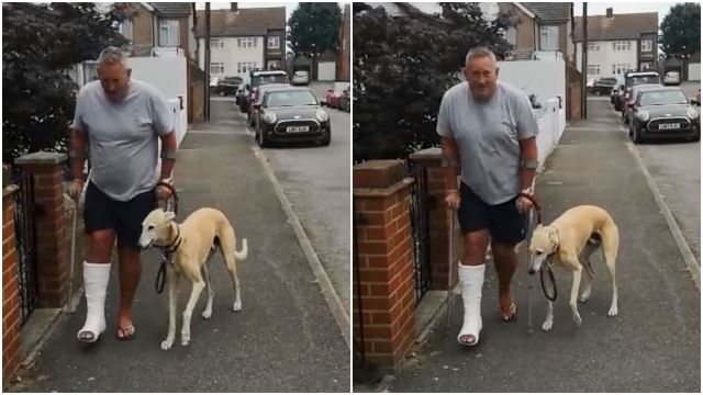 man-treat-dog-imitate-limping-sympathy-viral-1.jpg