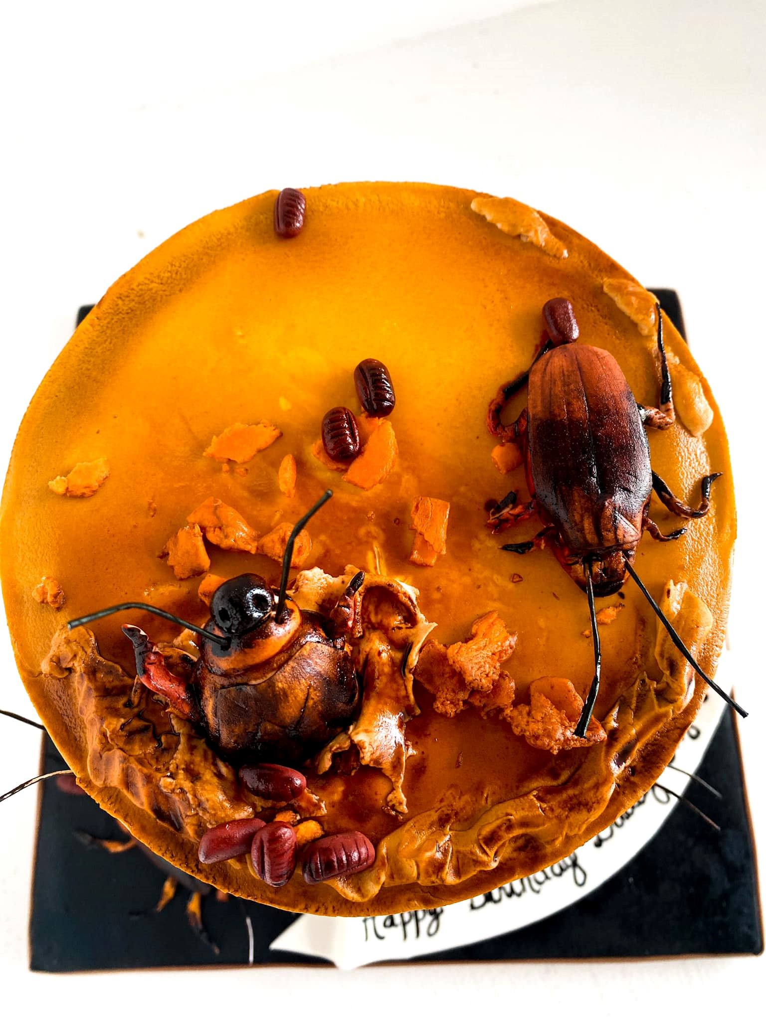 woman orders cockroach cake for husband who can’t stand the sight of cockroaches!