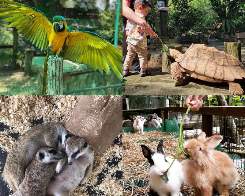 here are 6 educational destinations in selangor for you and the younglings!