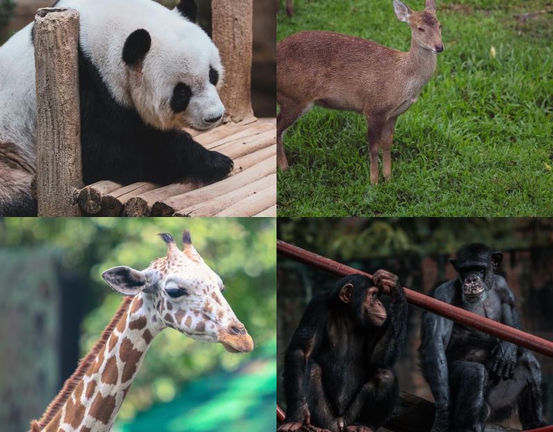 here are 6 educational destinations in selangor for you and the younglings!