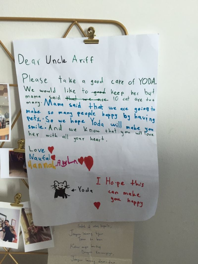man receives cute letter after adopting his new kitten, yoda!
