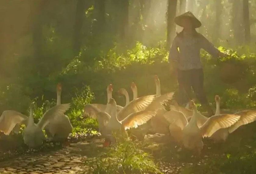 popular di media sosial, namun destinasi pelancongan viral ini sebenarnya tak wujud!