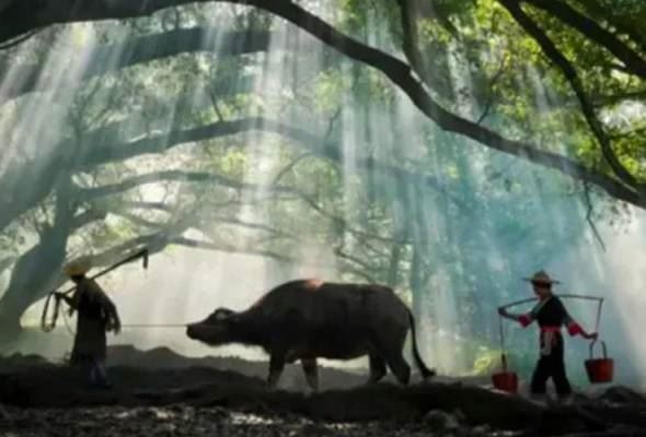 popular di media sosial, namun destinasi pelancongan viral ini sebenarnya tak wujud!