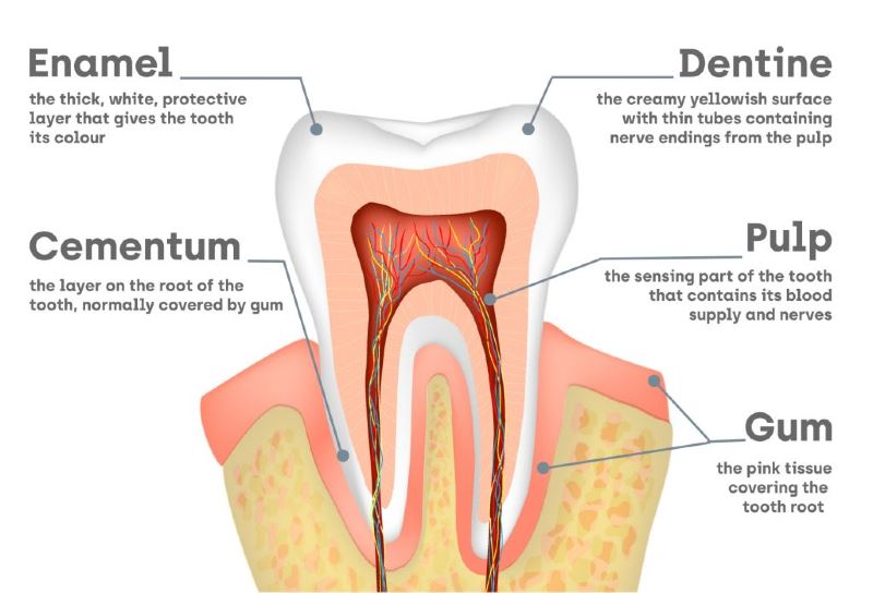 ouch, sakit gigi! here are some of the possible causes of toothache