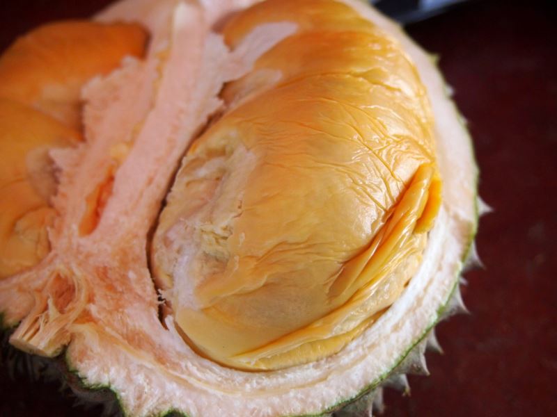 it’s durian season! here are the types of durian you can find in malaysia