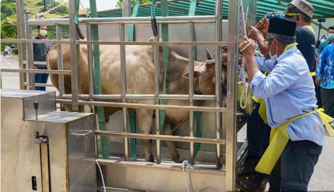 bolehkah gabungkan niat korban dan akikah untuk satu sembelihan? apakah hukumnya?