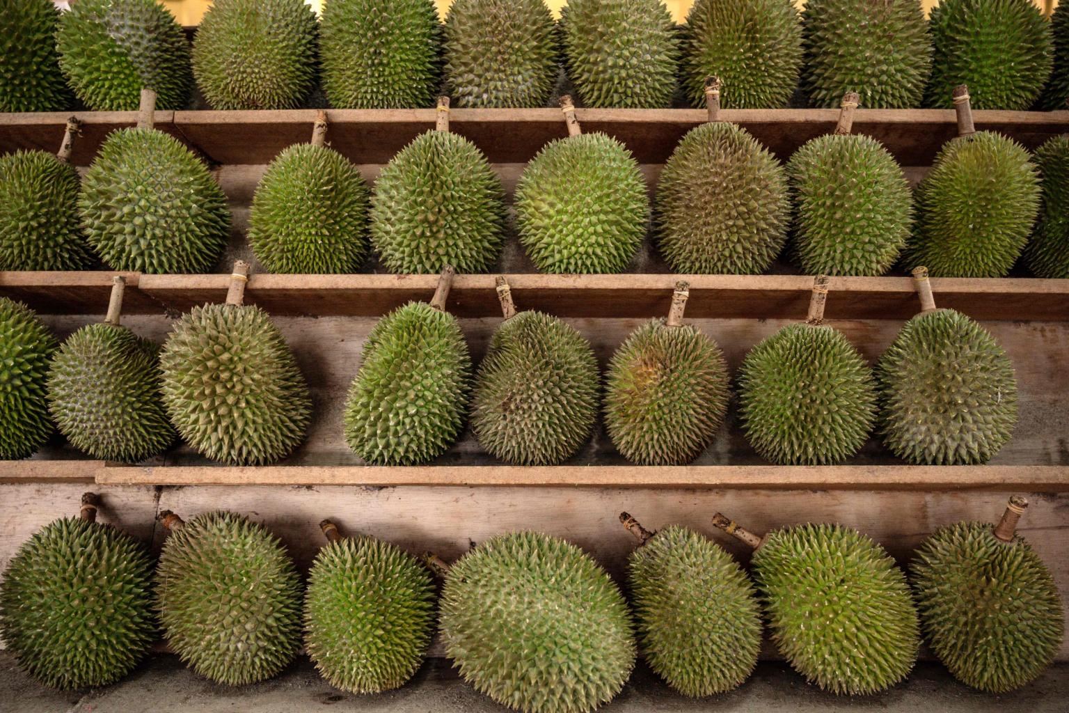 ramai tak puas hati tonton video masak durian sekali dengan kulitnya