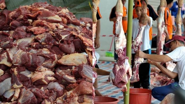 bolehkah memberi makan daging korban kepada orang yang bukan islam? apakah hukumnya?