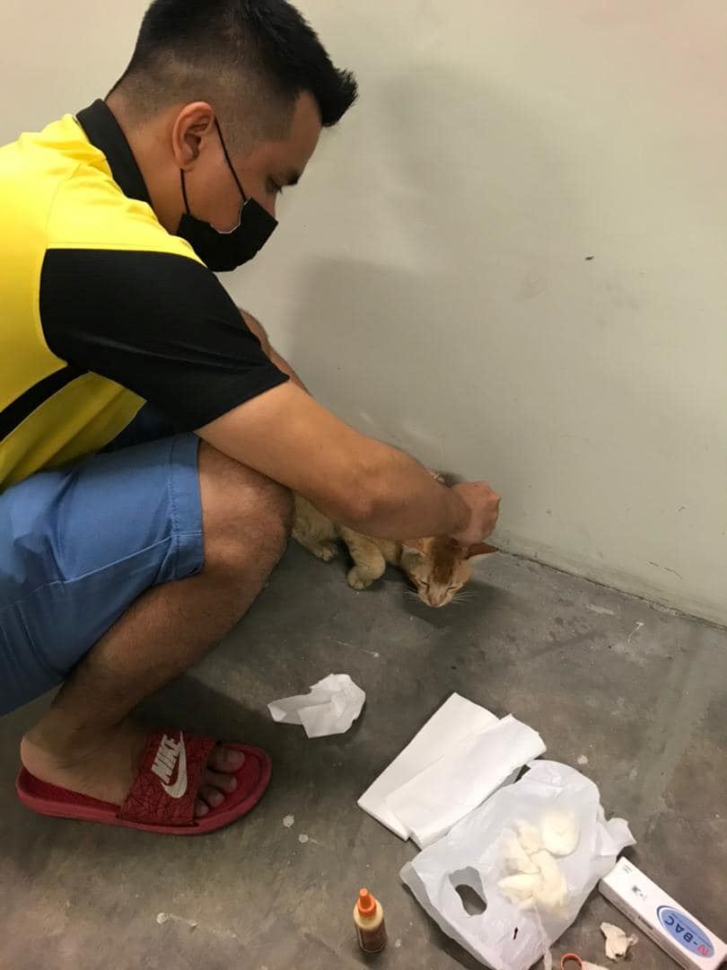 kisah oyen berebut awek buat netizen terhibur, ‘‘bunga bukan sekuntum yen!’’
