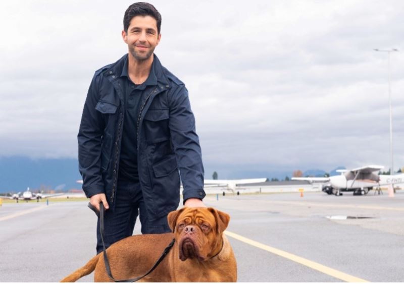 celebrate meaningful friendships this international friendship day with disney+ hotstar