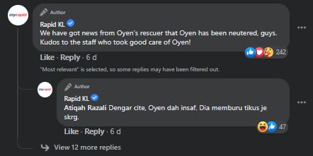 kisah oyen berebut awek buat netizen terhibur, ‘‘bunga bukan sekuntum yen!’’