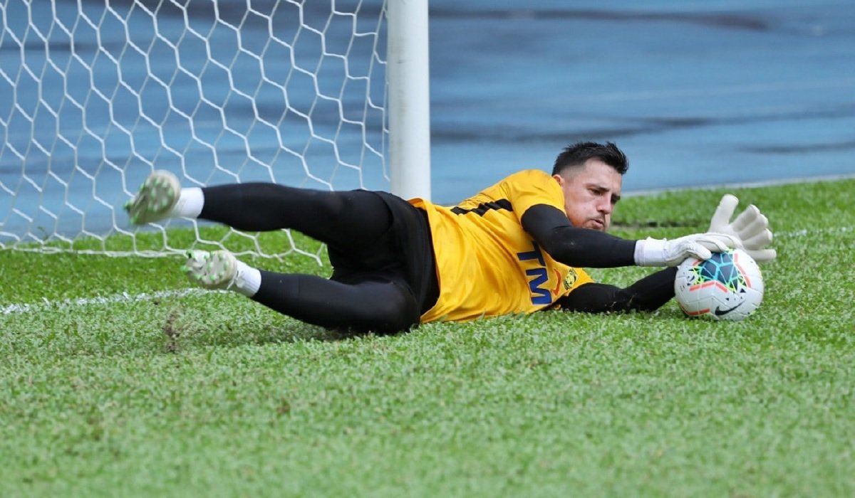 fam pantau, buru ramai pemain kacukan sebelum diserap harimau malaya