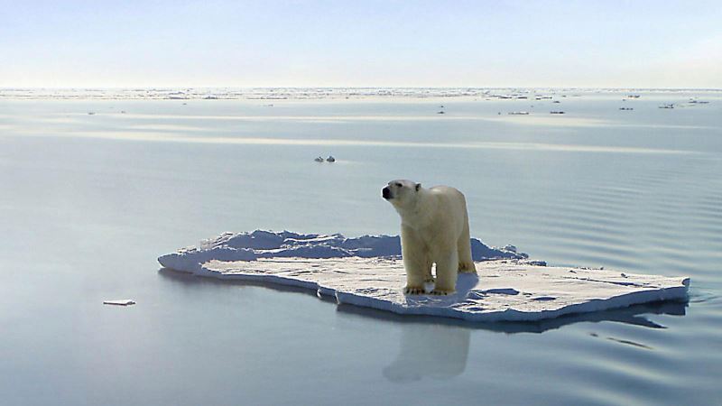 the planet is getting warmer, and it’s up to us to take action!