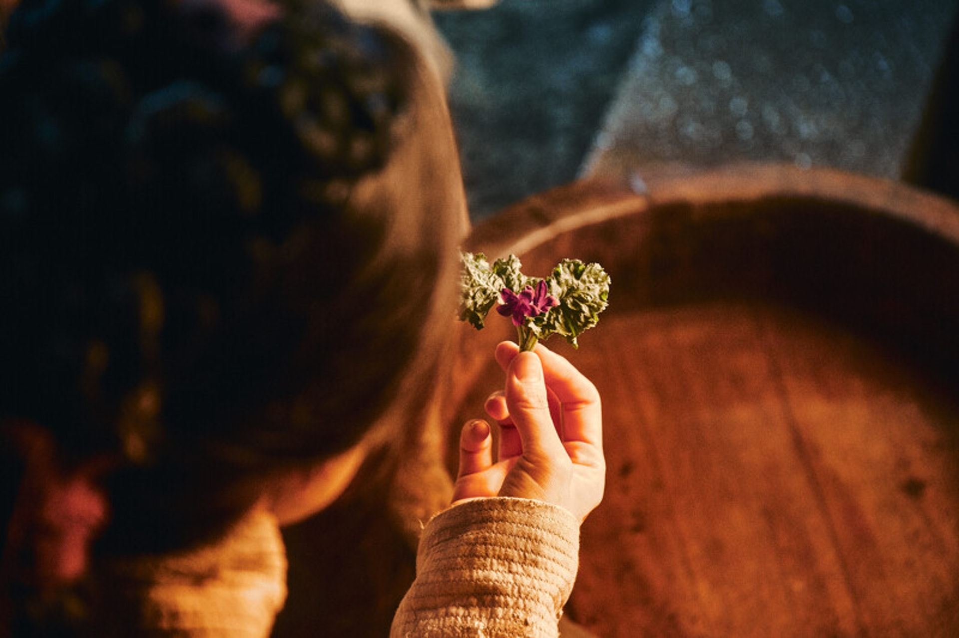 《尸战朝鲜：雅信传》预告公开❗️确定7月23日开播🔥解开生死草的秘密