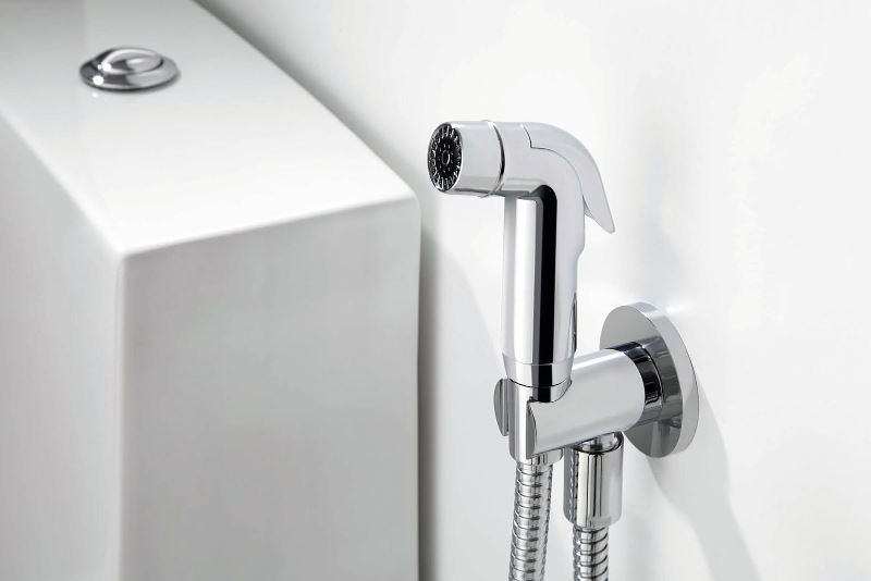 medical experts in the us agree that using bidet is better than using toilet paper