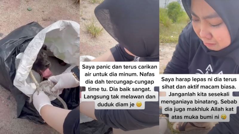 video of woman saving puppy stuffed in sack goes viral on social media