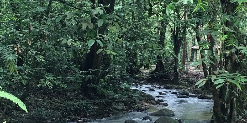 a day in selangor, let’s visit hulu langat!