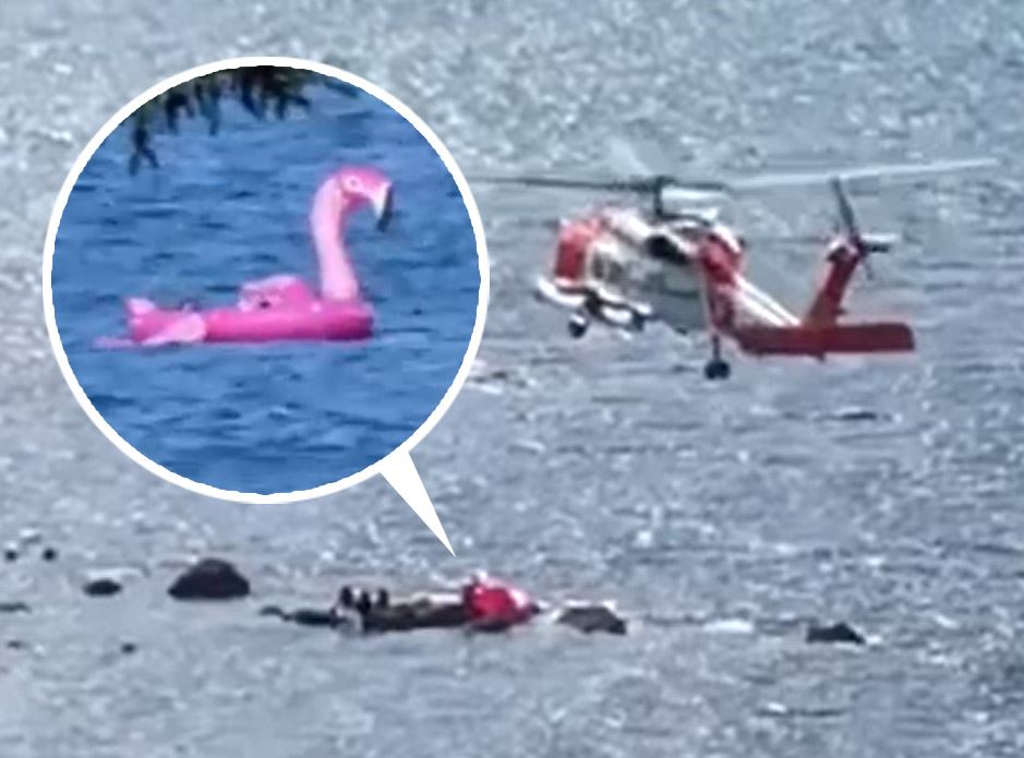 giant inflatable flamingo gets swept out to sea with 3 friends and 2 dogs on it