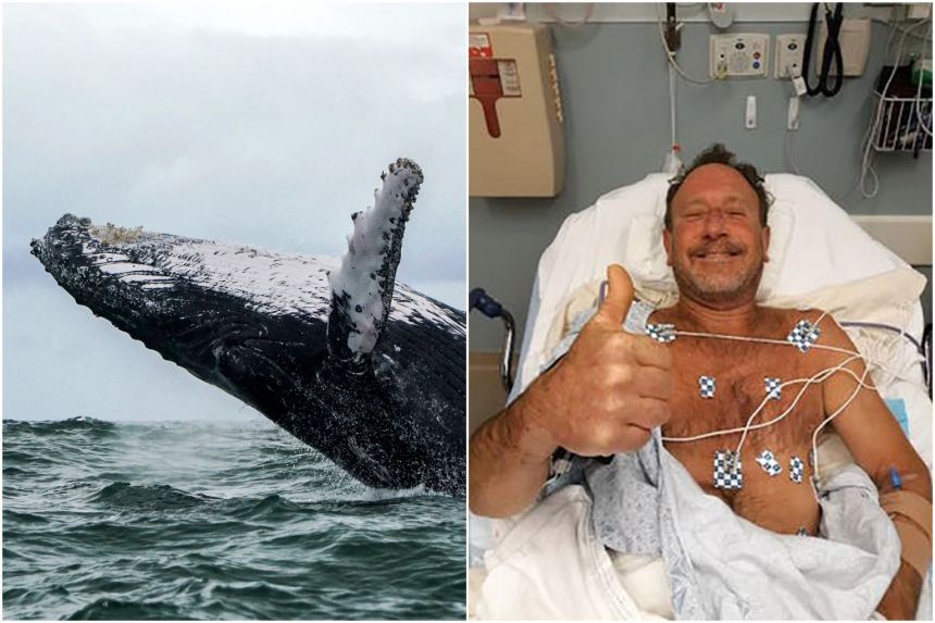 fisherman safe after getting swallowed by a whale and spat back out