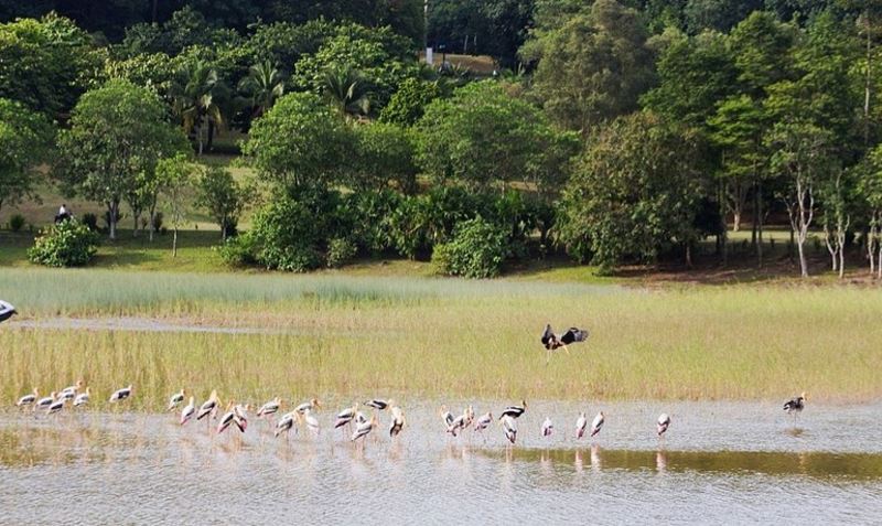 6 little-known places in selangor