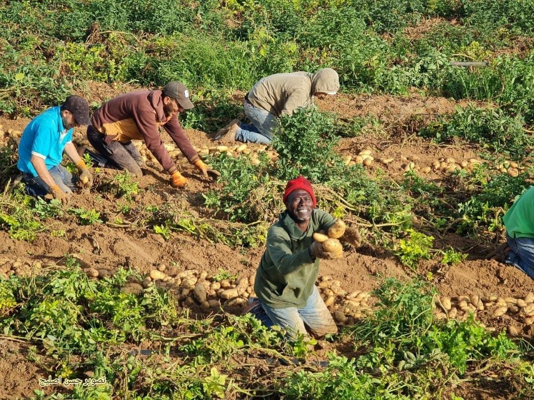 wajah gembira petani dapat kembali bertani di semenanjung gaza demi mencari rezeki