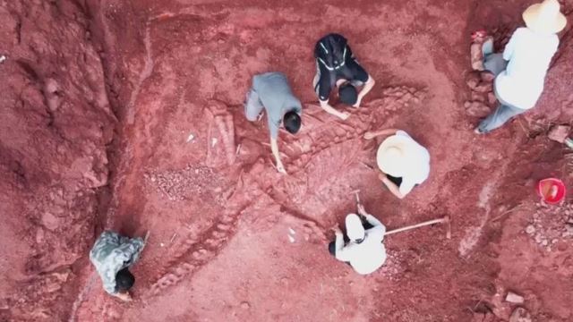 rangka dinosaur berusia 180 juta tahun ditemui di china
