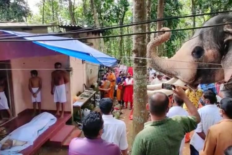 elephant turns up to keeper's funeral after walking 40km to say emotional goodbye
