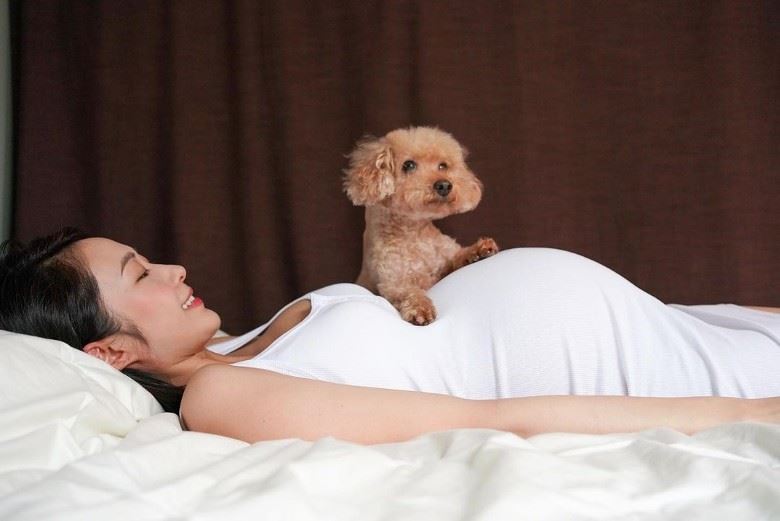 【多图】下个月就生啦❗️汤怡「8个月」怀孕写真曝光👶