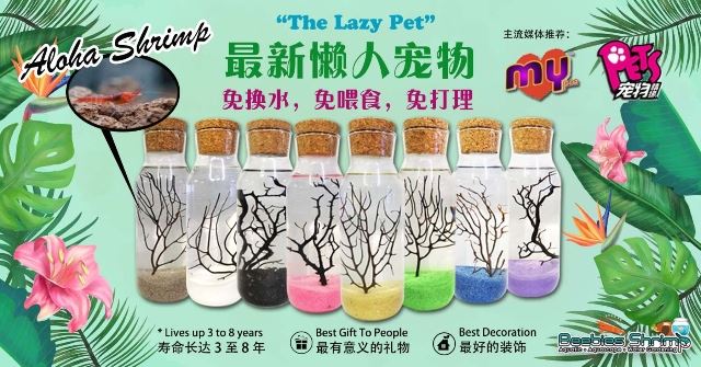 养宠物居然为孩子带来这些好处！想给孩子养宠物又怕麻烦，这个最新的 “懒人宠物” 帮到你！