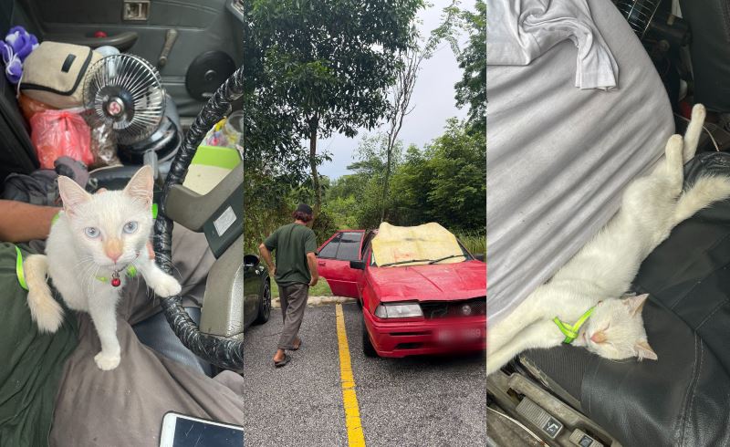 m’sians touched by homeless man who lives in his car with his cat, puteri