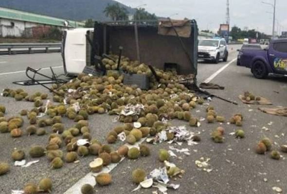 hujan durian di lebuh raya!